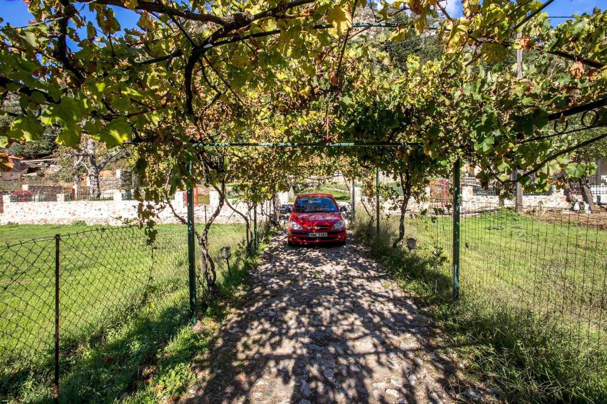 Ifigenia Lux Maisonette In Oldtown And Villas In Theriso Vilage 14 Km Outside Of Chania Chania  Exteriér fotografie